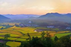 電(diàn)竞比賽(sài)奖金丰厚(hòu)，选手们激烈角逐