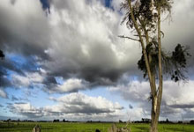 命中带八卦的星座,谁最爱传消息?