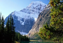 2025季中冠军赛：AL零封BLG，精彩战况来袭！