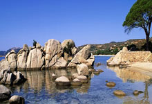 命中带八卦的星座，谁最爱传消息？